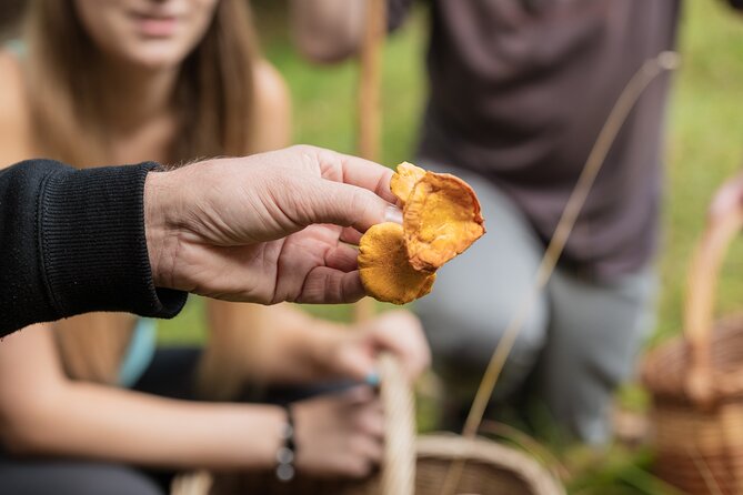 It Smells Like Mushrooms - Cooking your own mushroom-based dishes, then tasting