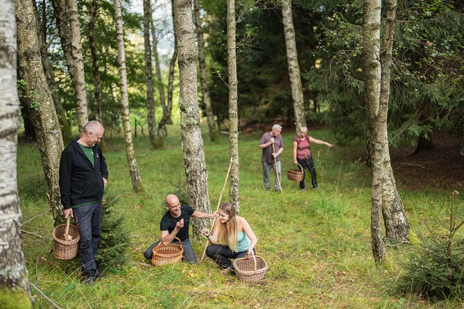 It Smells Like Mushrooms - What makes this tour feel truly local in Soča Valley