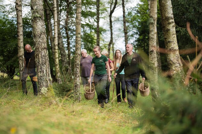 It Smells Like Mushrooms - The forest walk: safe foraging, careful spotting, real learning