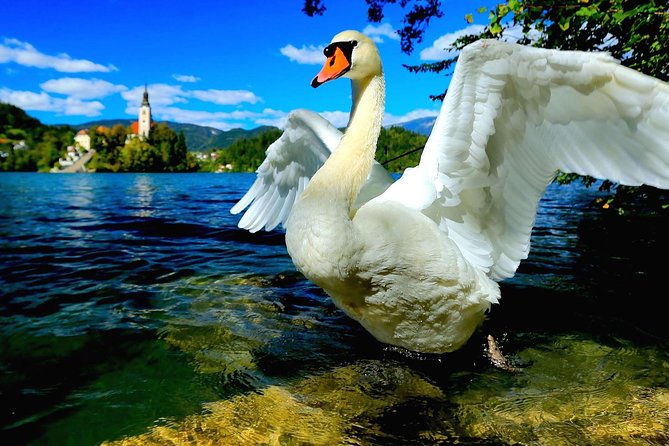 Lake Bled Half Day Excursion from Ljubljana - The pletna boat to the island, hand-powered and very memorable