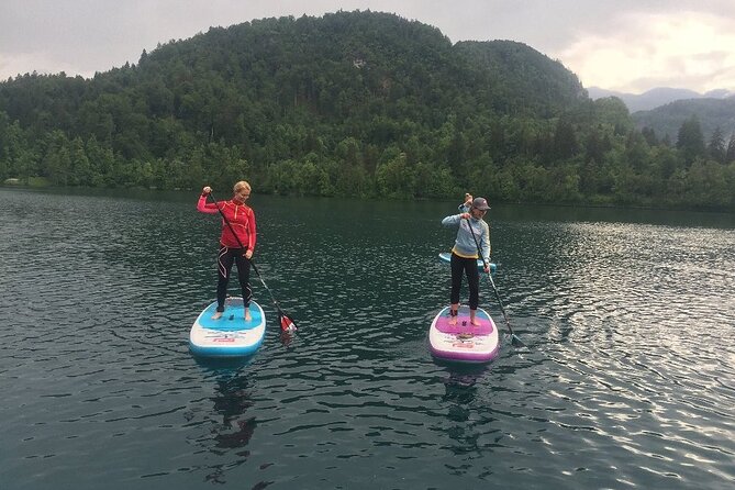 Lake Bled Stand-Up Paddle Boarding Lesson and Tour - Practical Logistics: Meeting Point, Time, and Group Size