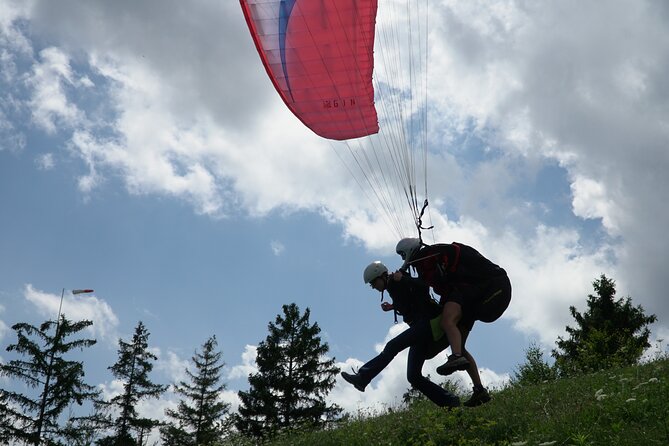 Lake Bled Tandem Paragliding - Stop 3: Ojstrica views without the hiking