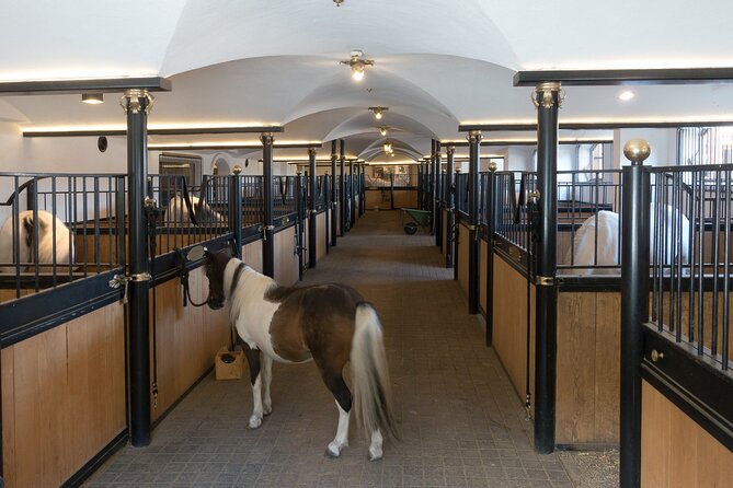Lipica Stud Farm and Skocjan Caves from Koper - Škocjan Caves Regional Park: an open-air walk after the underground route