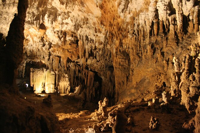 Lipica Stud Farm and Skocjan Caves from Koper - Price and value check for $134.68 from Koper