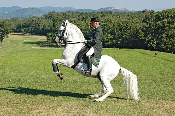 Lipica Stud Farm- Private Experience from Koper - Museum of the Lipizzaner: more than a quick stop