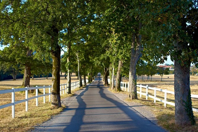 Lipica Stud Farm- Private Experience from Koper - A thoughtful add-on: lunch in Koper old-town style