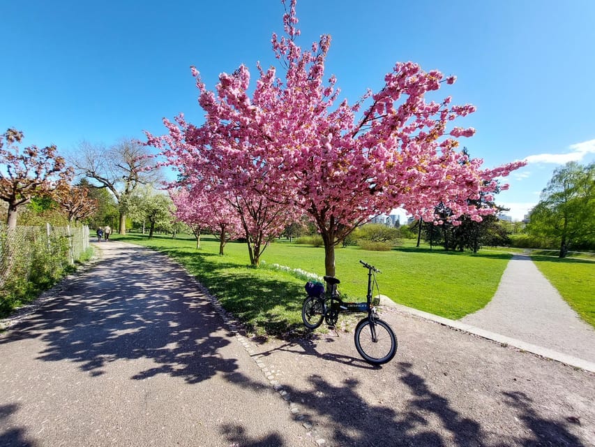 Ljubljana by E-Bike: Guided City Highlights Tour - Guide energy: humor, safety, and adapting to your pace