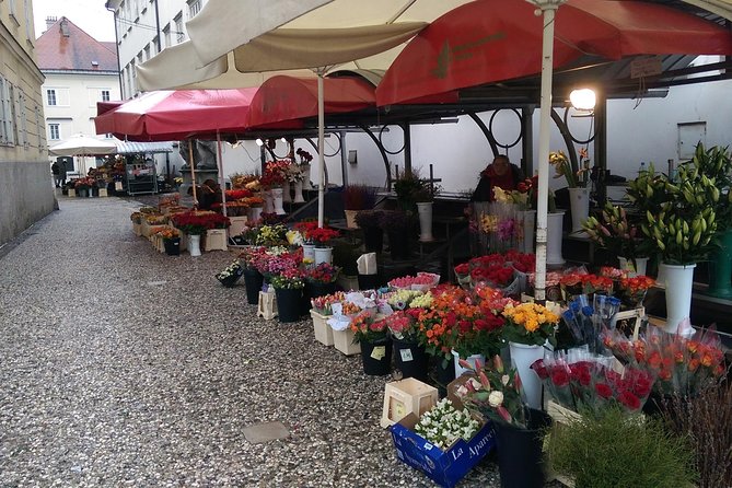 Ljubljana City Tour Including Ljubljana Castle - Timing, walking pace, and how to prepare