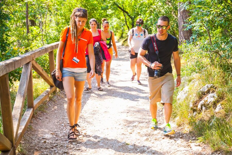 Ljubljana: Karst & Coast Full-Day Trip - Who this tour suits best (and who should look elsewhere)