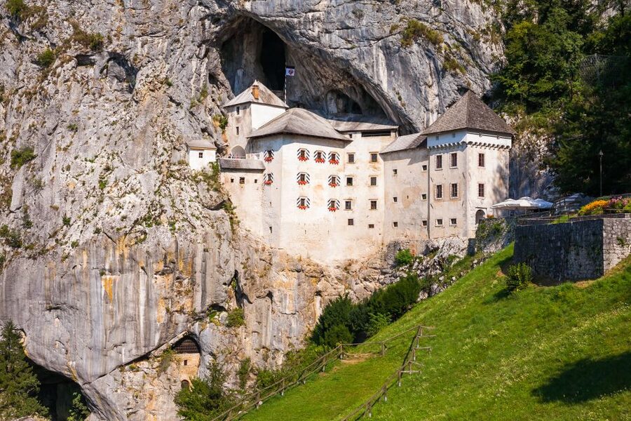 Ljubljana: Karst & Coast Full-Day Trip - Lipica and the Lipizzaner: seeing the horses in their real home setting