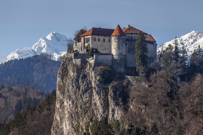 Ljubljana: Lake Bled Experience small group half-day tour - Lakeside free time: 30 minutes to reset with swans and cake