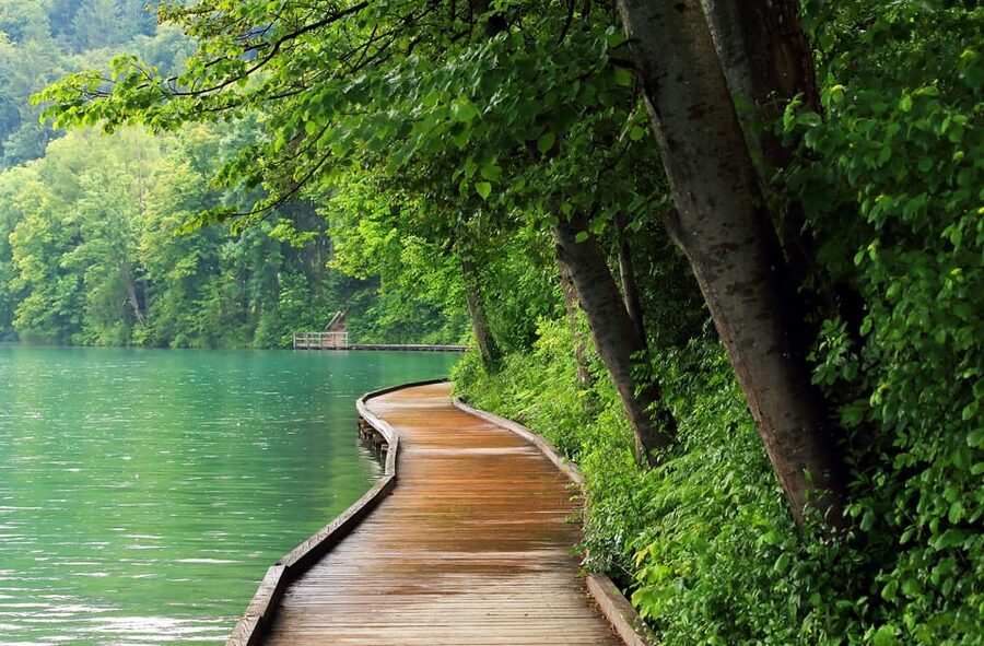 Ljubljana: Lake Bled, Postojna Cave, and Predjama Day Tour - How the timing really feels: guided moments plus self time
