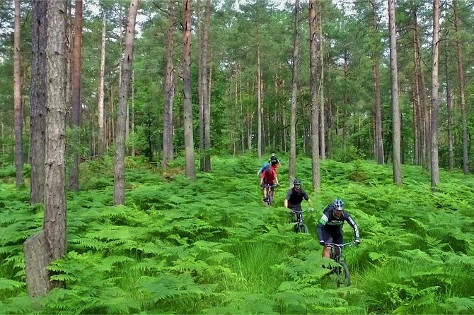 Ljubljana MTB Capital tour (e-bike enduro/all mountain) - Pricing and value: what you pay and why it makes sense