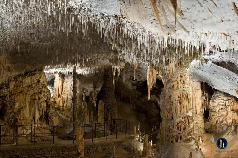 Ljubljana: Postojna Cave and Predjama Castle Tour - From Ljubljana to the Cave Park: How the Day Really Works
