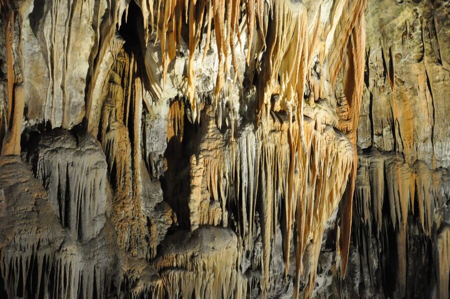 Ljubljana: Postojna Cave & Predjama Castle Tickets and Tour - Postojna Cave: stalagmites, salamanders, and that underground train