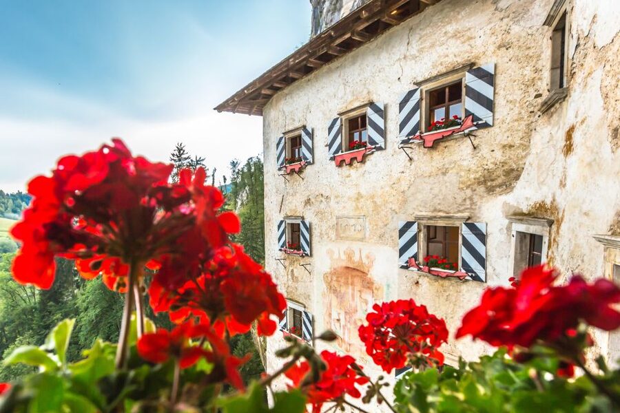 Ljubljana: Postojna Cave & Predjama Castle Tickets and Tour - Price and value: is $115 per person fair?