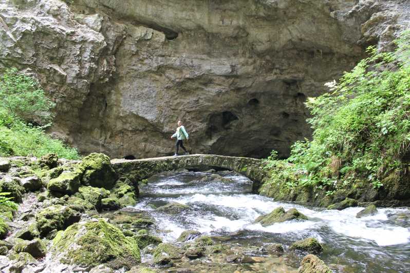 Ljubljana: Škocjan Caves, Rakov Škocjan & Predjama castle - Why Škocjan Caves Feel Bigger Than You Expect