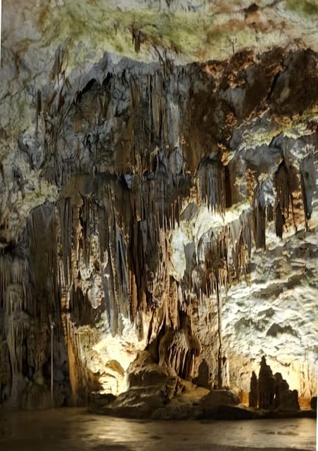 Ljubljana to Postojna Cave,Predjama Castle and Postojna park - What you actually get for the price
