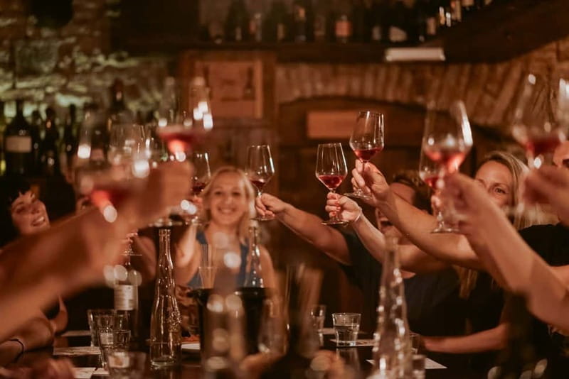 Ljubljana: Wine Tasting Experience with Appetizers - Key highlights worth planning for