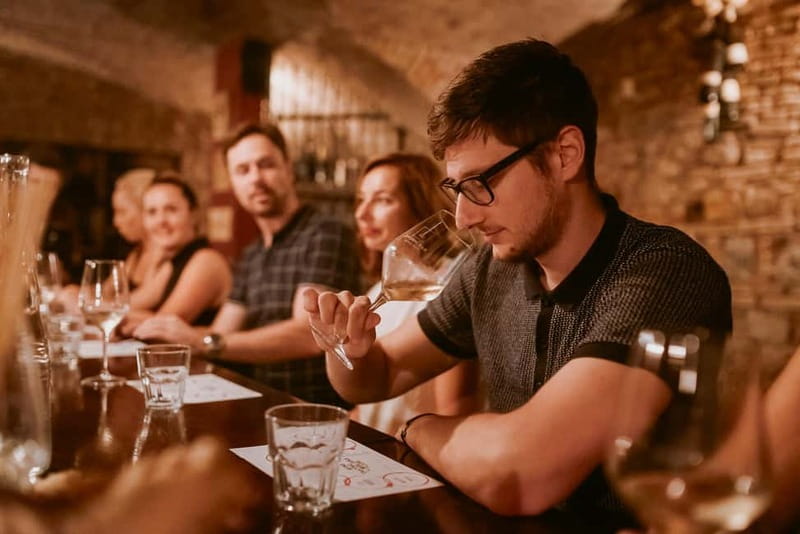 Ljubljana: Wine Tasting Experience with Appetizers - Appetizers included: an easy way to make the night feel complete