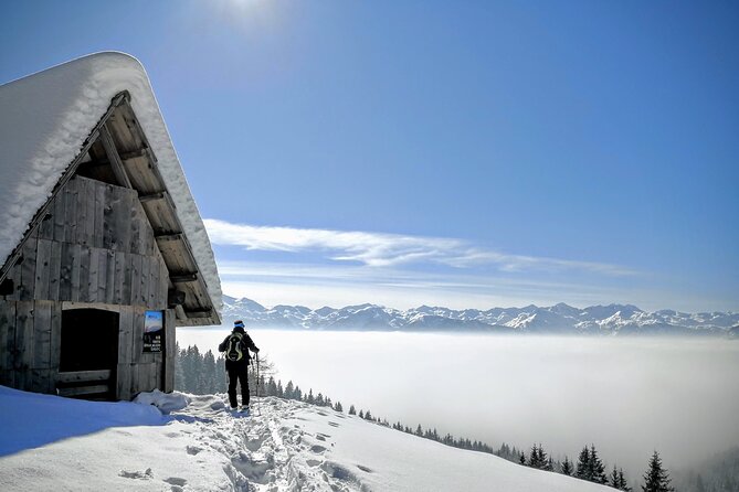 Magical Snowshoeing in Bohinj valley - The Bled pick-up that keeps your morning stress low