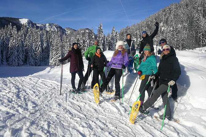 Magical Snowshoeing in Bohinj valley - Pokljuka plateau or Bohinj valley, so what will feel different?