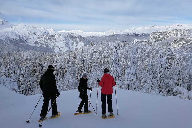 Magical Snowshoeing in Bohinj valley - Pricing: what you get for $120 in 3 hours