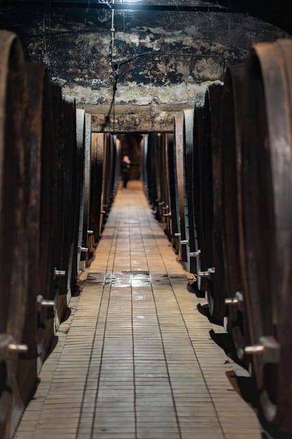 Maribor: Vinag Wine Cellar Tour with Wine tasting and snacks - Inside the Cellar: Barrels, Concrete Tanks, and a Real Working Setup