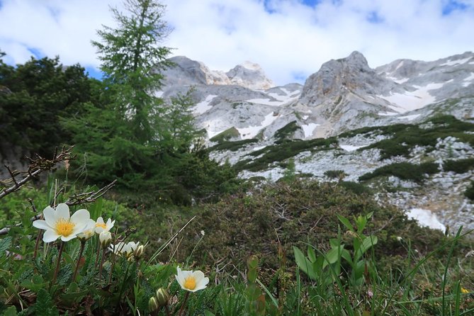 Mighty Mount Triglav Climb-summer Special-join Group - Guide support is the real value, especially when you hit your limit