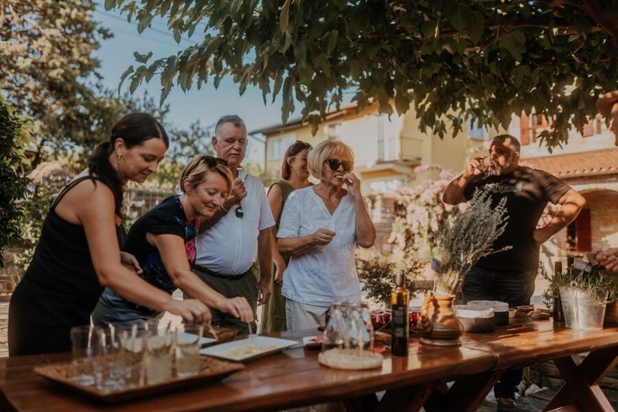 Olive Oil Tasting a Journey of Flavors and Aromas - The Olive Grove Visit in Marezige, Where the Taste Makes Sense