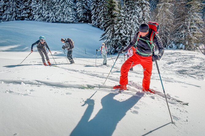 One Day Ski Touring Workshop - The Small-Group Advantage (Up to 6) on Snow