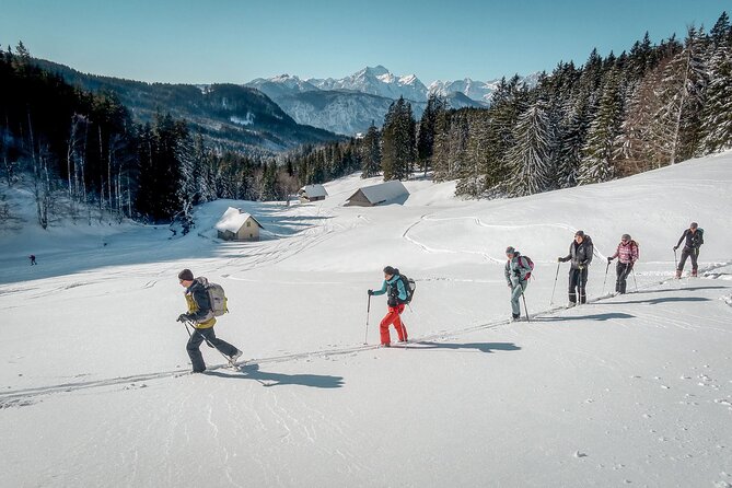 One Day Ski Touring Workshop - Equipment Training That Actually Counts: Skins, crampons, and touring basics