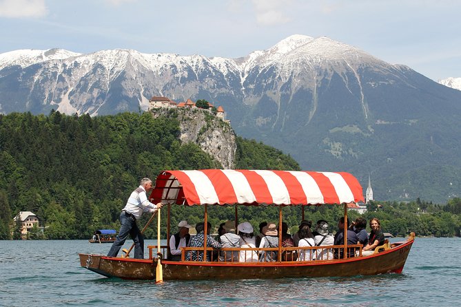 One guide - two ports - tours from Koper and Trieste - Ljubljana old town in two hours: the “green capital” feel