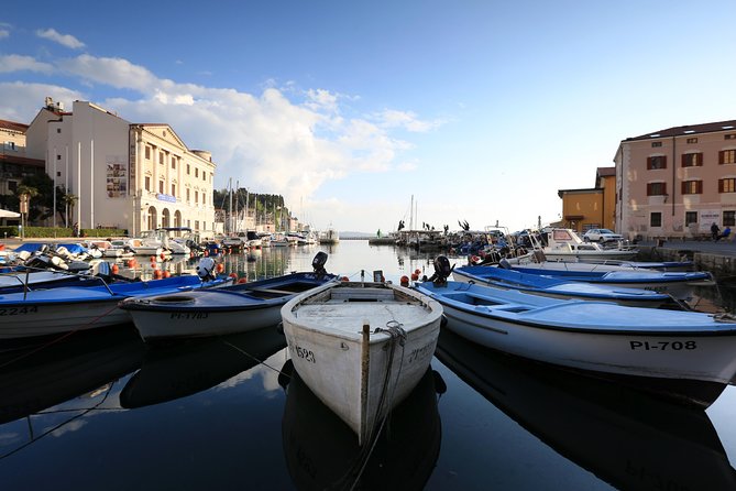 Panoramic Piran and Salt Pans: E-Bike Boutique Tour - Why an e-bike tour is the right tool for this coast