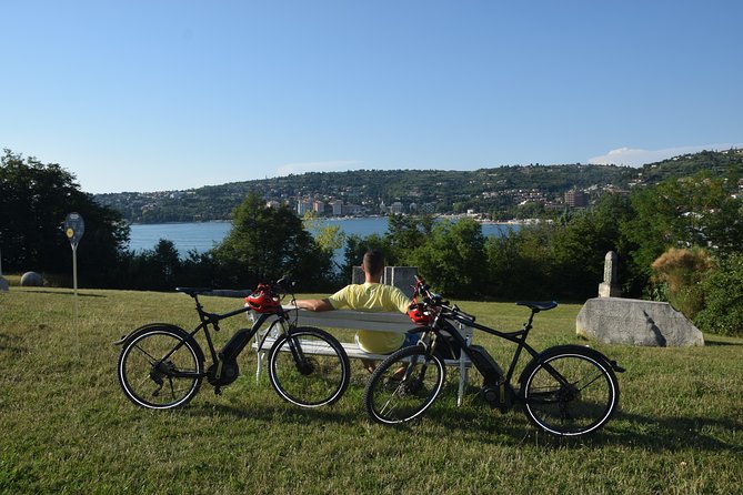 Panoramic Piran and Salt Pans: E-Bike Boutique Tour - Forma Viva: open-air stone sculptures, 30 countries worth of art