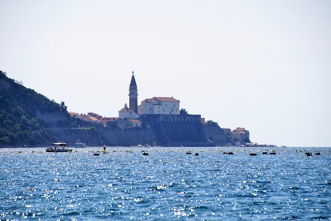 Piran and Portoroz Pearls of the Slovenian Adriatic Coast Half Day Trip from Ljubljana - Price and Value: Is $107.23 a Fair Deal?