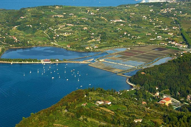 Piran and Scenic Slovenian Coast-Private Experience from Koper - Guides and the small group advantage (it actually shows)