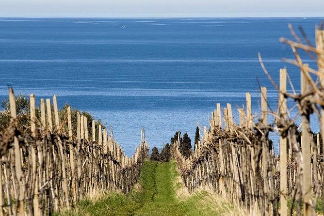 Piran and Scenic Slovenian Coast-Private Experience from Koper - Price and value for a private group, not a ticketed bus