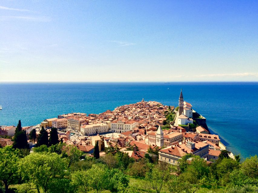 Piran: Bike Rental with Map, Helmet, Water bottle and Lock - Bike quality and comfort: what to expect on the seat and handlebars