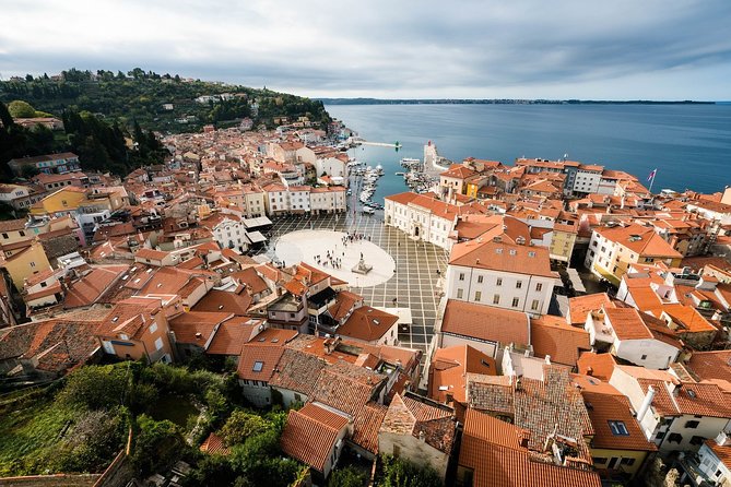 Piran & Flavors of Slovenian Istria - Piran plus wine and lunch in one 7-hour coast drive