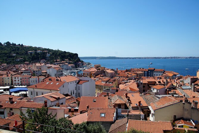 Piran & Panoramic Slovenian Coast - Small Group Tour from Koper - The panoramic drive through Izola, plus Portoroz and salt pans
