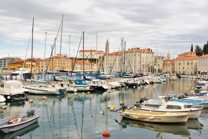 Piran & Panoramic Slovenian Coast - Small Group Tour from Koper - Food and wine tasting: the part that makes it feel like a day, not a checklist