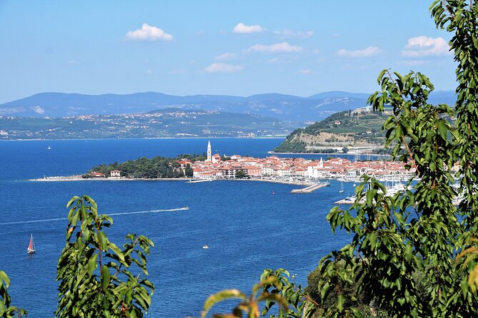 Piran & Panoramic Slovenian Coast - Small Group Tour from Koper - Value for money: what $107.23 buys you