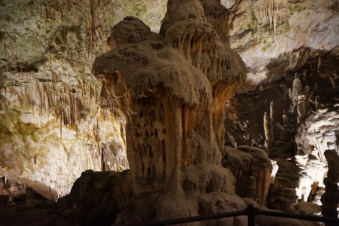 Postojna Cave and Predjama Castle Tour from Ljubljana - Who this tour suits best, and who might want to rethink it