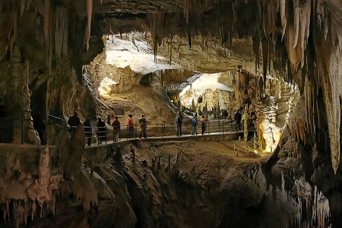 Postojna Cave and Predjama Castle Tour from Ljubljana - Postojna Cave: diamonds, dragon-pup style wonder, and stamina