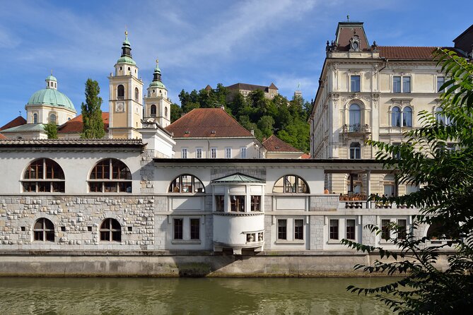 Private 3 hours walking Guided Immersion tour through Ljubljana - Meeting point, pickup, and how to avoid the usual first-day hiccup