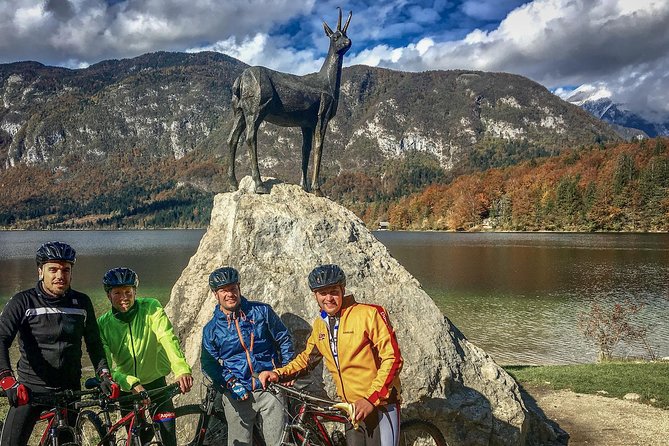 Private Biking Tour in Bohinj Valley - Bikes, Helmets, and Gear That Matter on Real Rides