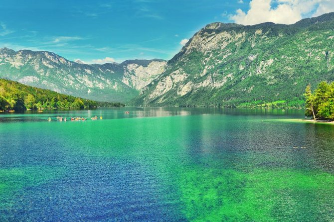 Private Bohinj & Vogel Tour from Bled - The guide factor: why Igor and Primoz matter on a private day