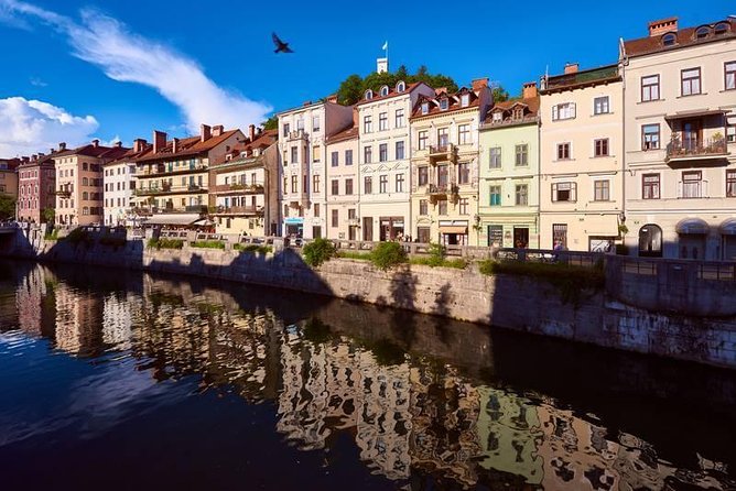 Private city tour of Ljubljana. 4 hours with a friendly and fun local guide. - Central Market and Dragon’s Bridge, local symbols in the open air