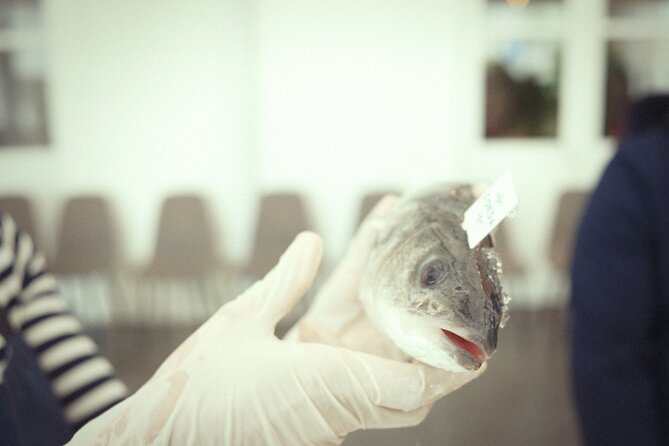 Private Mediterranean Fish Cooking Workshop with Irena - Private and in English: what you’re really paying for